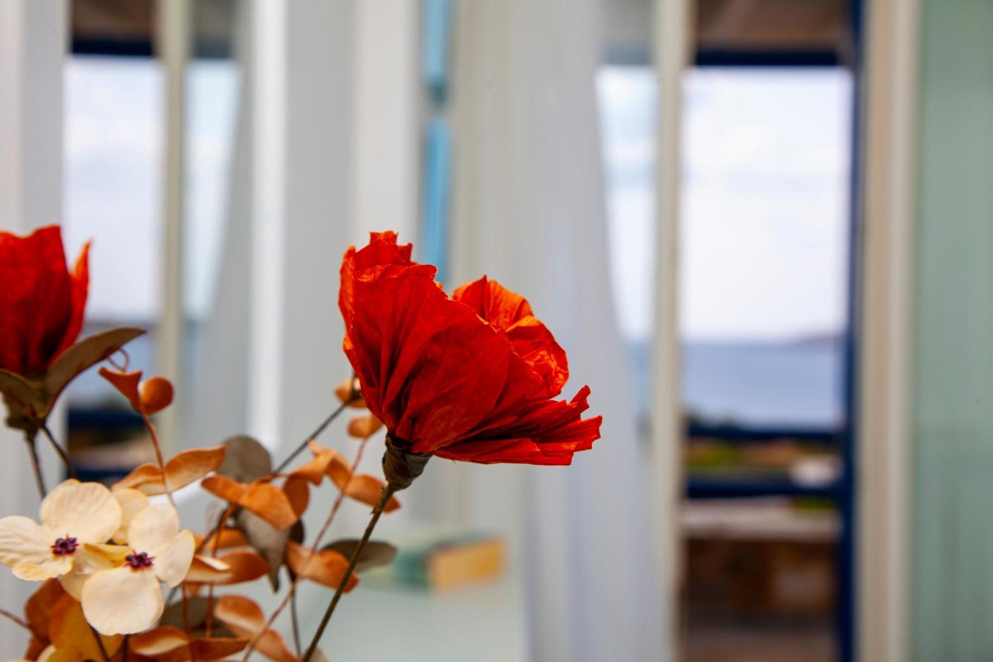 Aura Paros Apartment Logaras Exterior photo