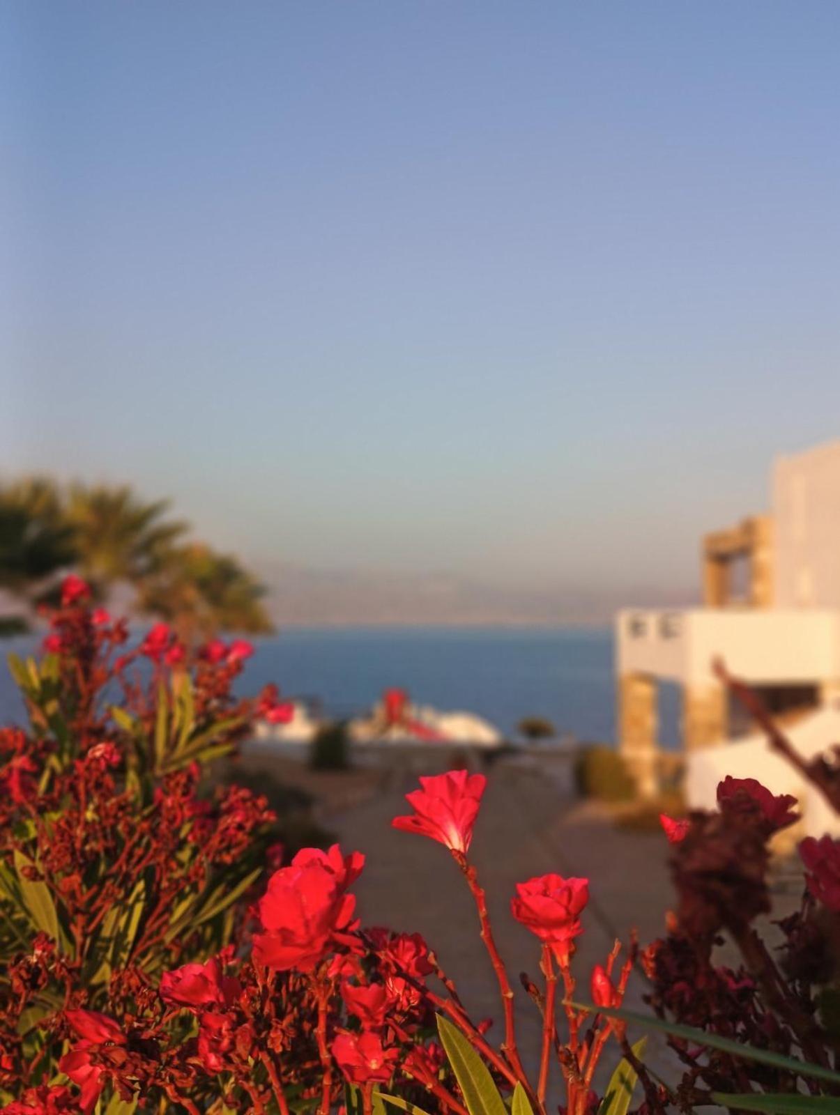 Aura Paros Apartment Logaras Exterior photo